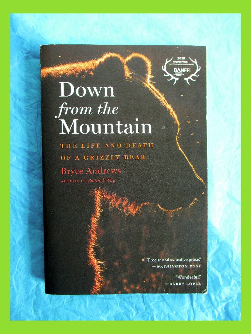 Book - Down from the Mountain: Life & Death of a Grizzly Bear, by Bryce Andrews